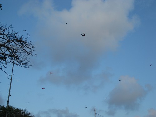 kites_in_the_sky_at_Nusa_Dua