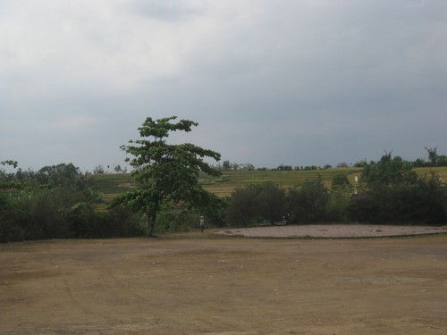 rice_fields_near_Batu_Bolong_Temple