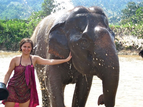 LC__clean_elephant_friend_at_Elephant_Nature_Park