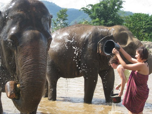 LC_and_elephant_washing_at_Elephant_Nature_Park