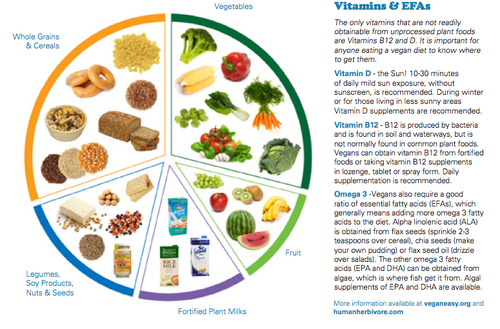 Plant_Food_Groups_2