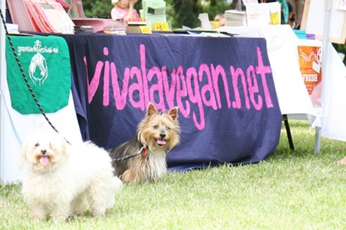 VLV_stall_with_dogs_by_CSP